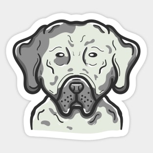 Cute Catahoula Dog Sticker